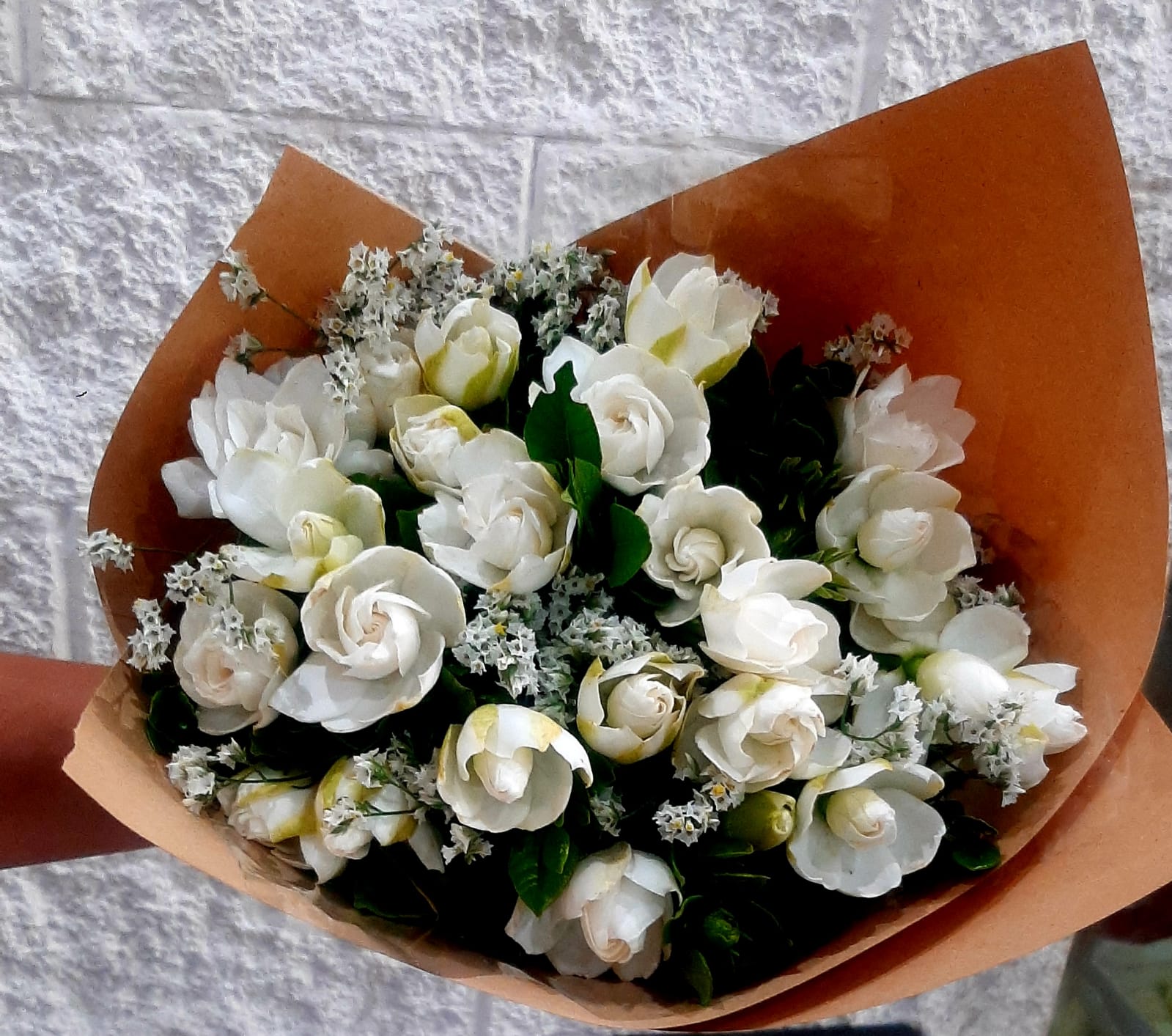 Foto de RAMO 24 JAZMINES KIMURA